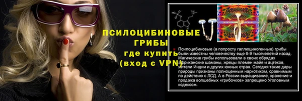 apvp Верея