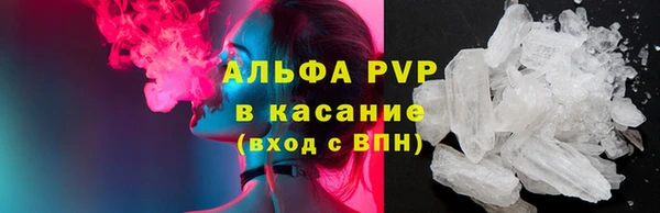 apvp Бородино