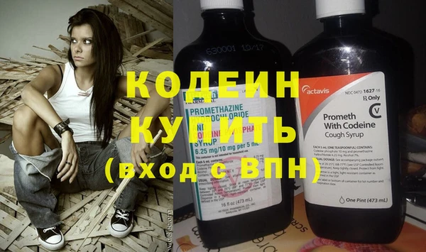 apvp Бородино