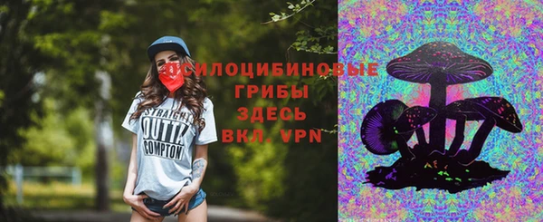spice Бугульма