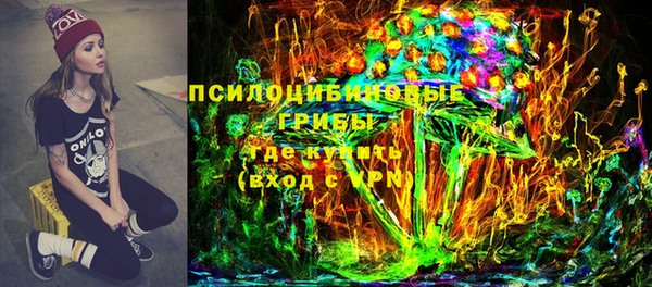spice Бугульма