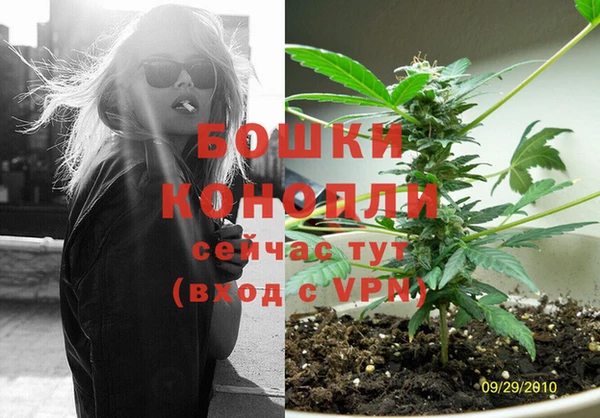 apvp Бородино