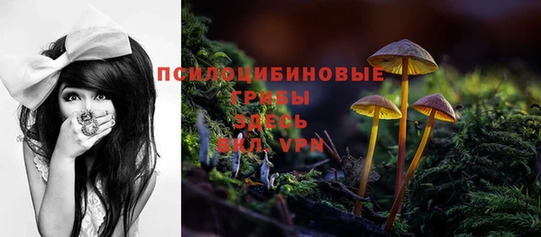 apvp Бородино