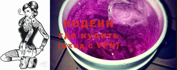 apvp Бородино